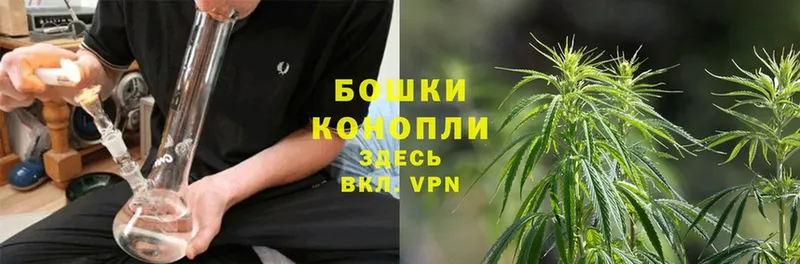 Шишки марихуана THC 21%  Кирсанов 